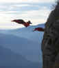 PICT0247_basejump1.jpg (112888 byte)